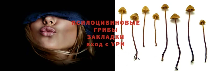 Альфа ПВП Алзамай