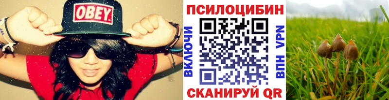 Галлюциногенные грибы мухоморы  купить  цена  Перевоз 